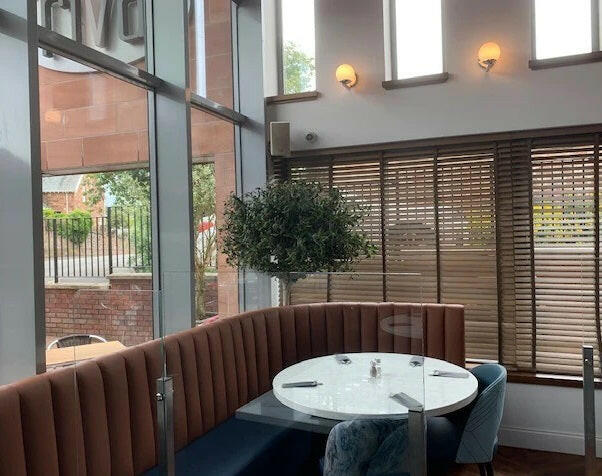 Justartifcial.co.uk Olive Tree instu in a resturant