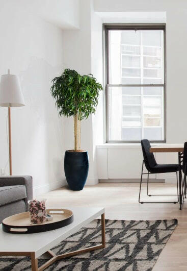 Artificial Silk Bamboo Mophead Tree FR