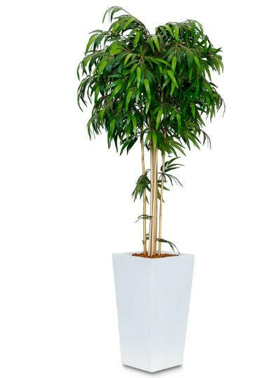 Artificial Silk Bamboo Mophead Tree FR