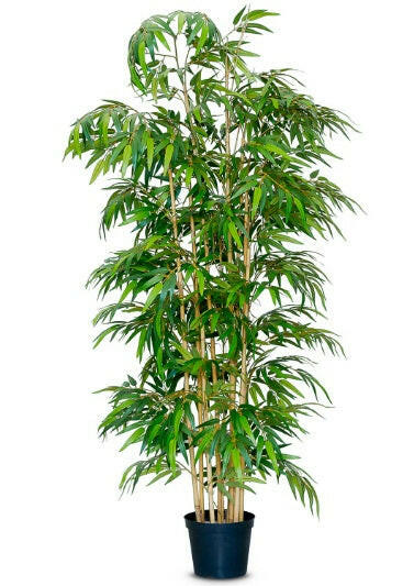 Justartificial.co.uk artificial Mini Bamboo Tree in carriage pot