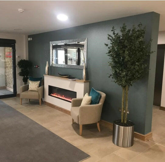 Justartificial.co.uk Eucalyptus instu