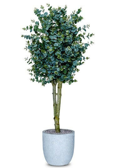 Justartificial.co.uk Eucalyptus in white planter