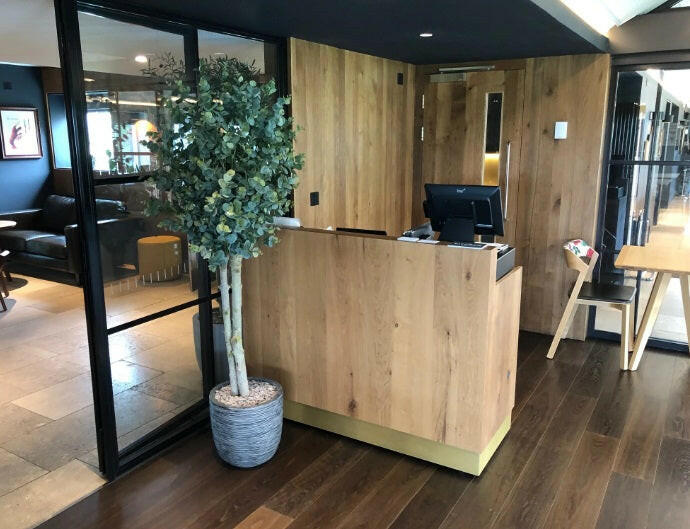 Justartificial.co.uk Eucalyptus instu 2