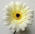 Artificial Silk Gerbera Classic Flowers