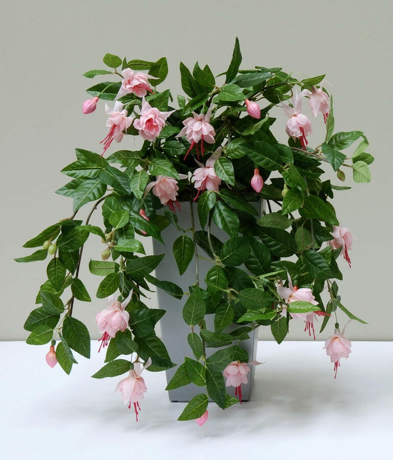 Artificial Silk Trailing Fuchsia