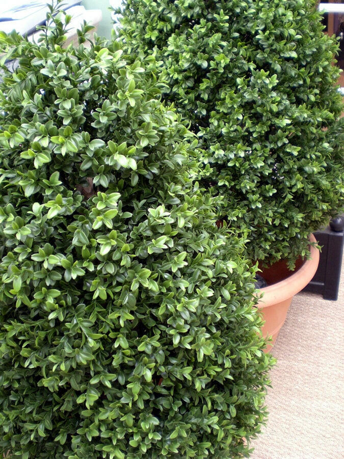 Artificial Boxwood Tower
