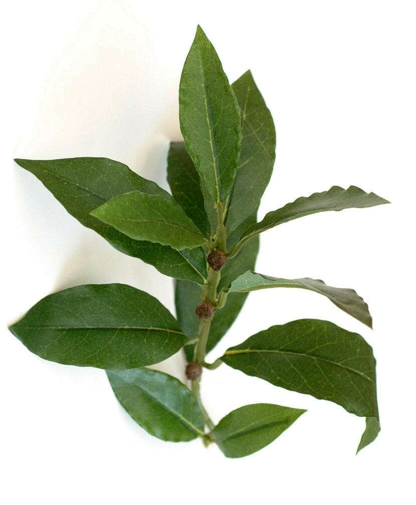 Artificial Silk Bay Leaf Spray IFR