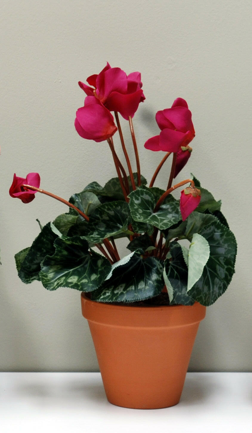 Artificial Silk Cyclamen Bush