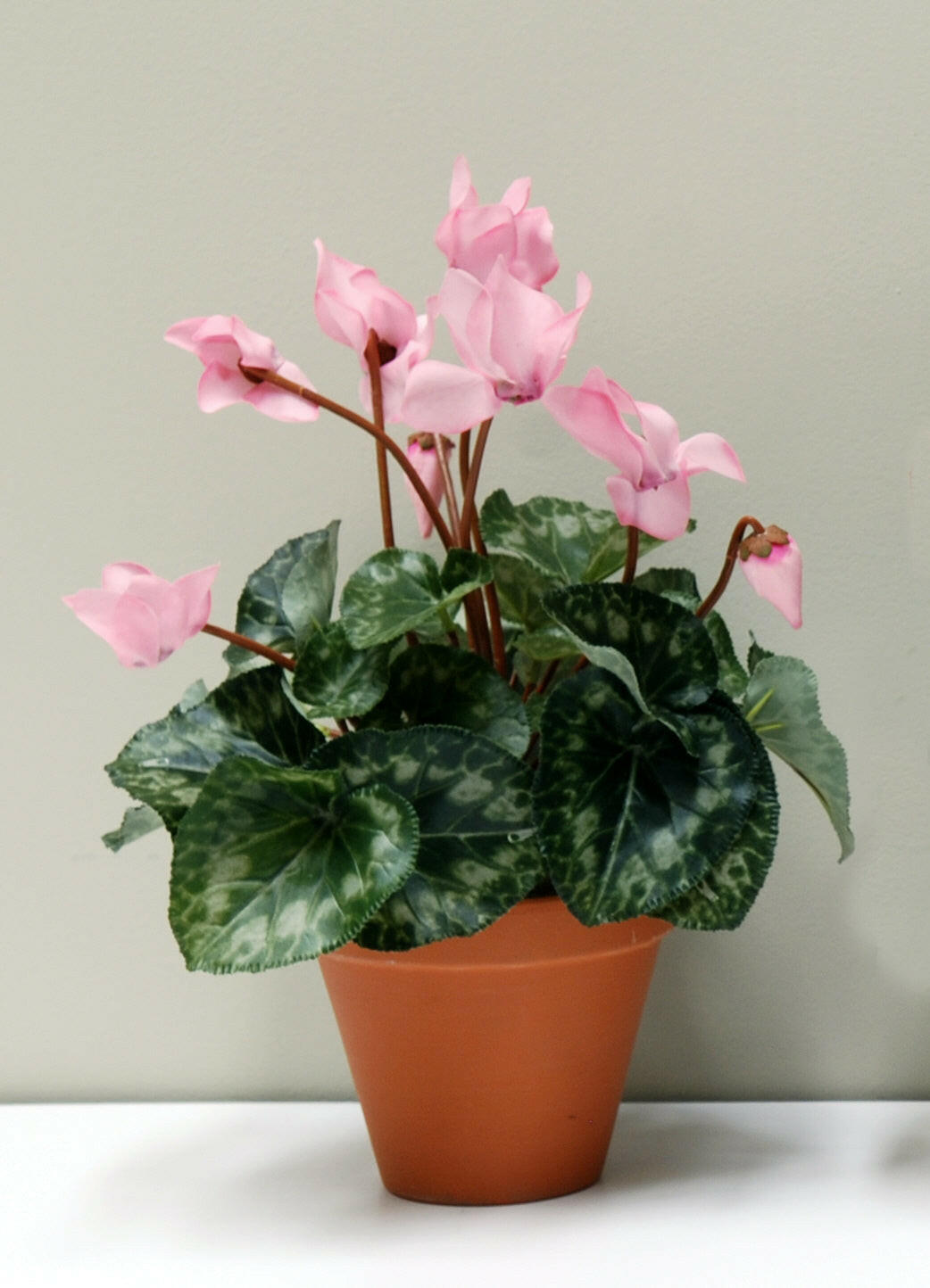 Artificial Silk Cyclamen Bush