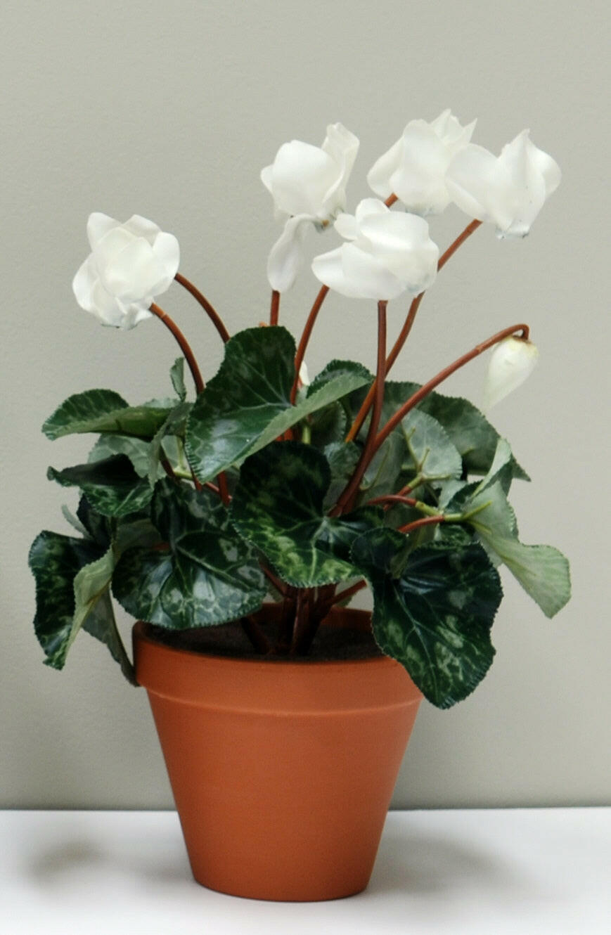 Artificial Silk Cyclamen Bush