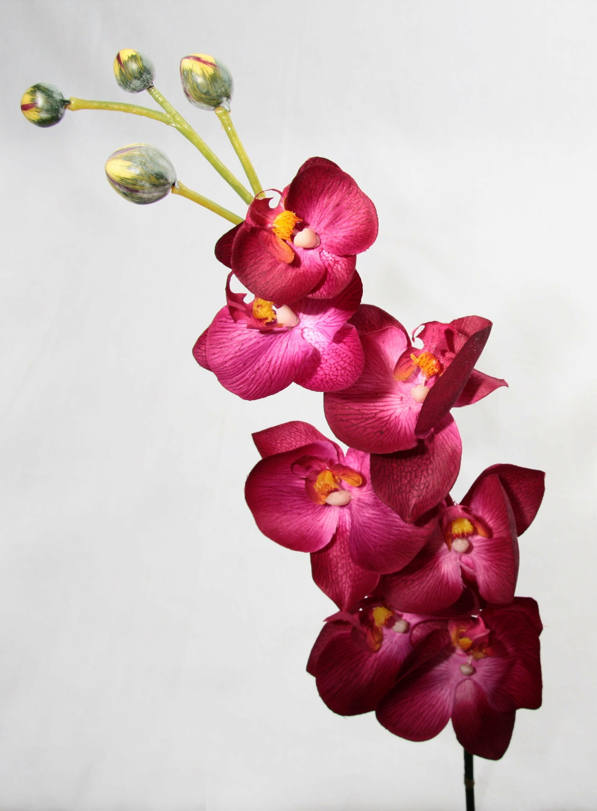 Artificial Silk Phalaenopsis Orchid Single Stem