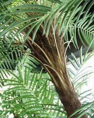 Artificial Phoenix Palm Tree