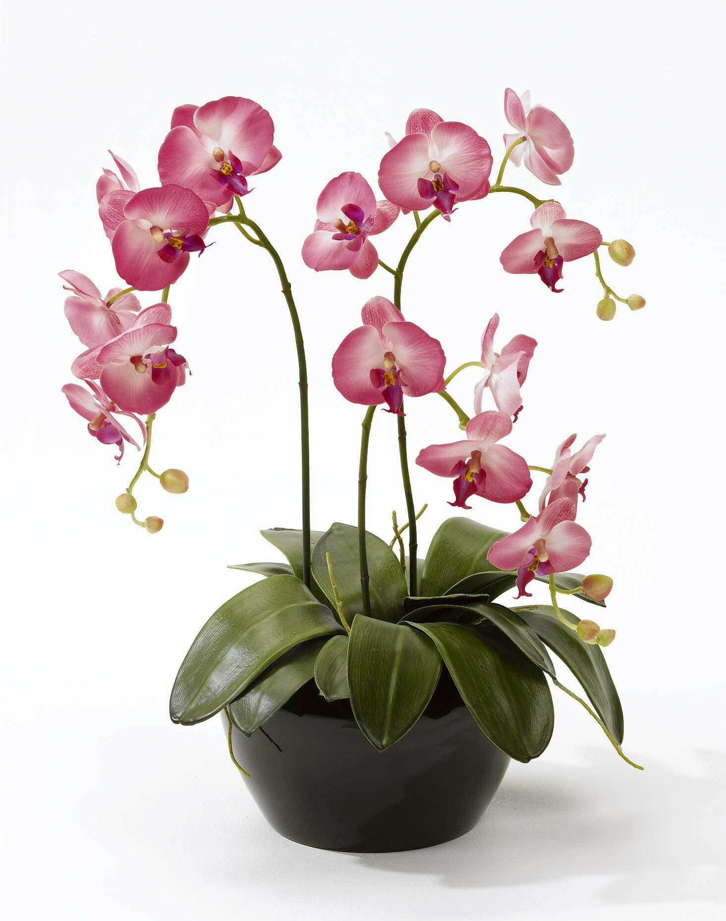 Artificial Orchid Flower Arrangement