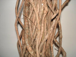 Artificial Silk Hawaiian Ficus Tree IFR