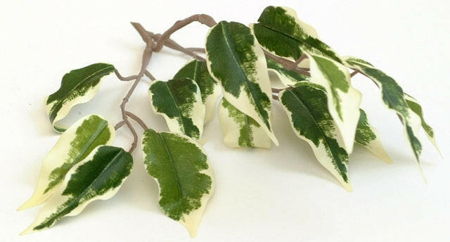 Artificial Silk Hawaiian Ficus Tree IFR