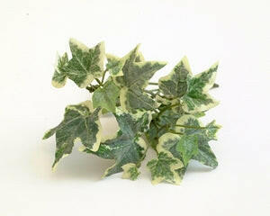 Artificial Silk Frosted Holland Ivy