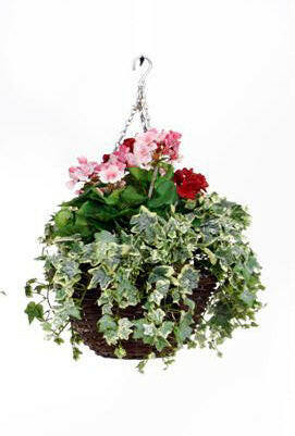 Artificial Silk Geranium Hanging Basket
