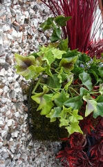 Artificial Plastic Flower Wall Basket