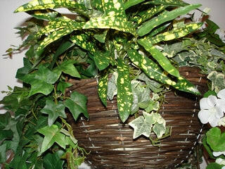 Geranium Large Silk Hanging Basket