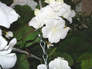 Geranium Large Silk Hanging Basket