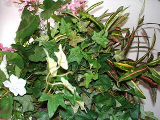 Geranium Large Silk Hanging Basket