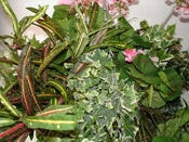 Geranium Large Silk Hanging Basket