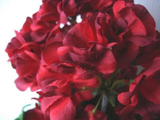 Artificial Silk Geranium Bush