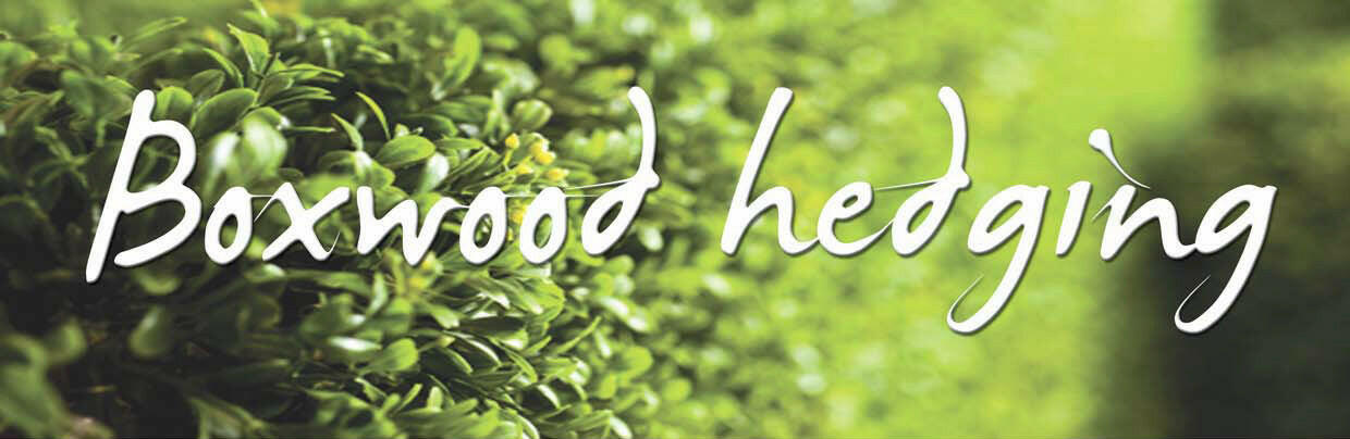 Artificial Bespoke Hedge Building Service