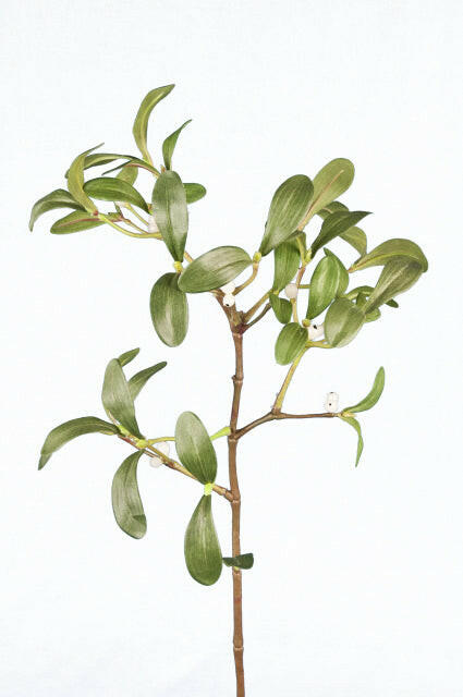 Artificial Mistletoe Spray