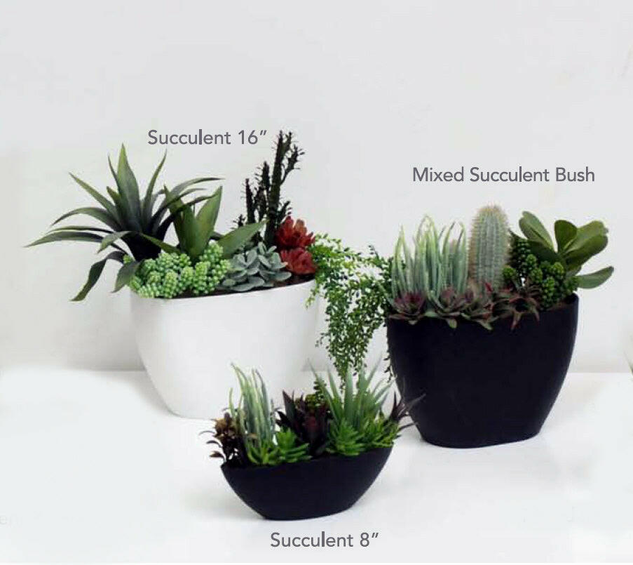 Artificial Succulent Plants
