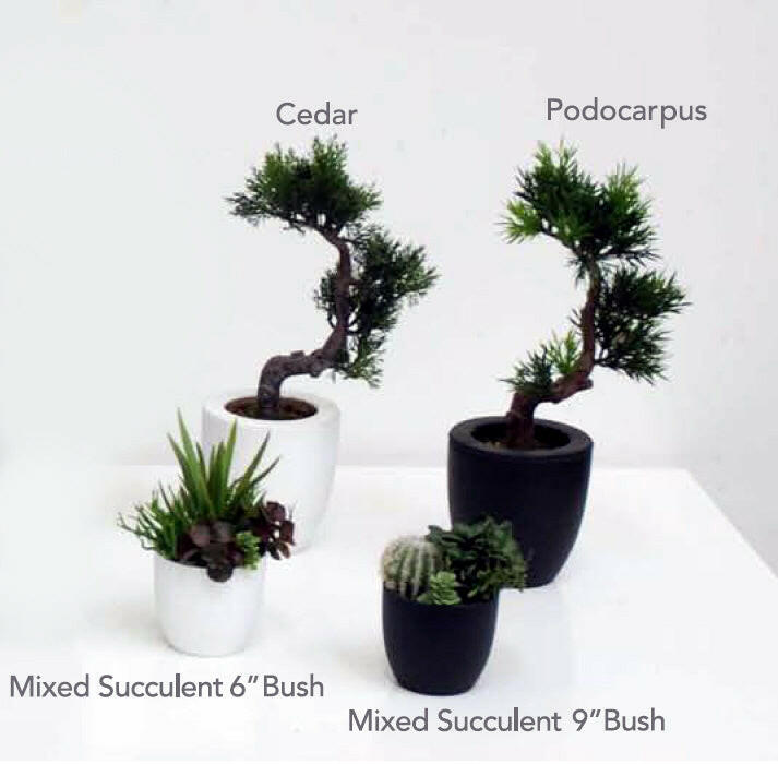 Artificial Succulent Plants