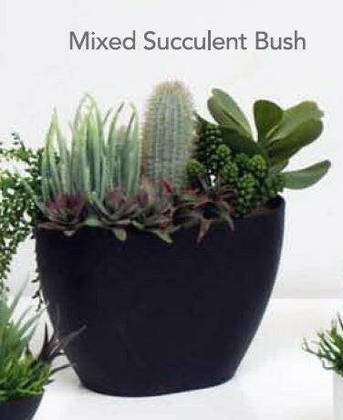 Artificial Succulent Plants
