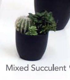 Artificial Succulent Plants