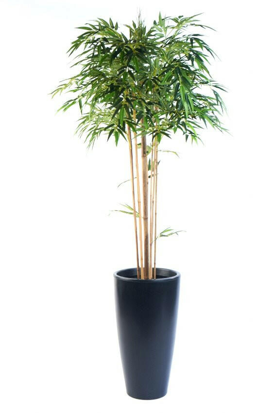 Artificial Silk Bamboo Mophead Tree FR