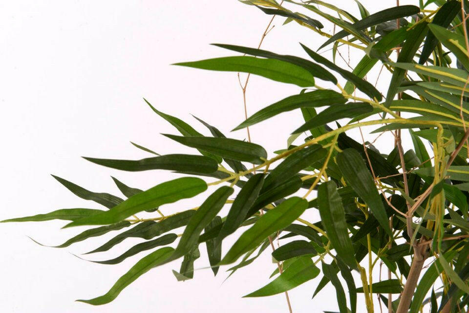 Artificial Silk Bamboo Mophead Tree FR