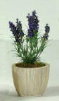Artificial Lavender in Cream Leaf Planter