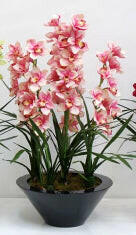 Artificial Silk Cymbidium Flower in Cream MDF Planter