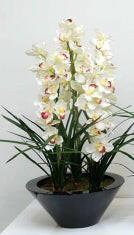 Artificial Silk Cymbidium Flower in Cream MDF Planter