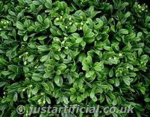 Artificial Topiary Boxwood Hedging Panels