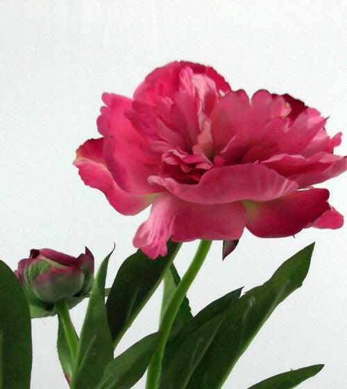 Artificial Real Touch Peony