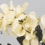Artificial Silk Spring Bell
