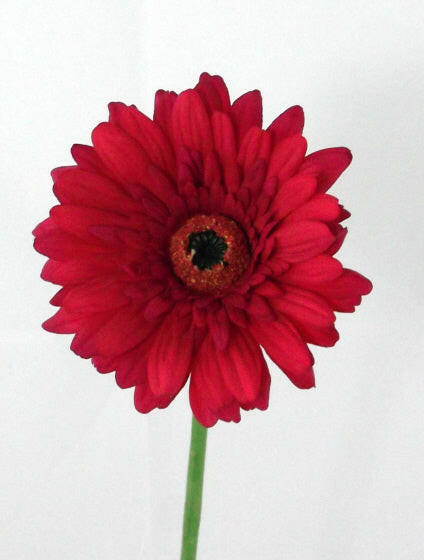 Artificial Silk Gerbera Deluxe Flowers (Real Touch)