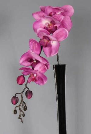 Artificial Silk Moth Orchid Flowers