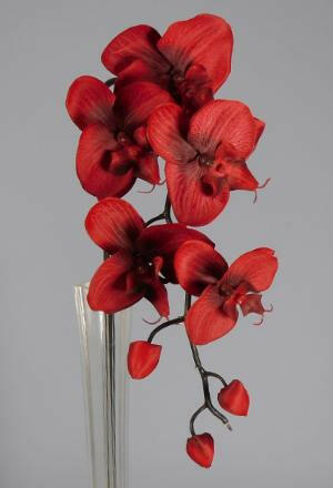 Artificial Silk Moth Orchid Flowers