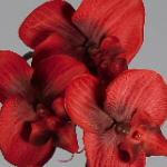 Artificial Silk Moth Orchid Flowers