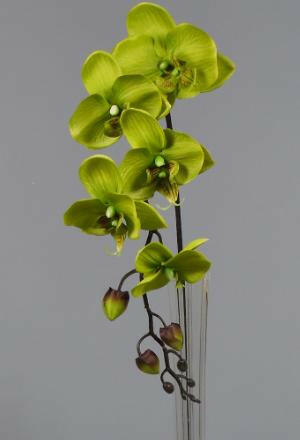 Artificial Silk Moth Orchid Flowers