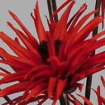 Artificial Silk Phoenix Mini Single Stem