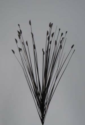 Artificial Tipped Grass Single Stem