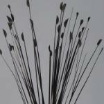 Artificial Tipped Grass Single Stem