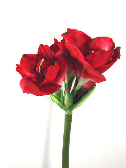 Artificial Queen Amaryllis (Real Touch)